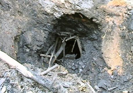 Cà Mau ngăn chặn các lò hầm than hoạt động trái phép