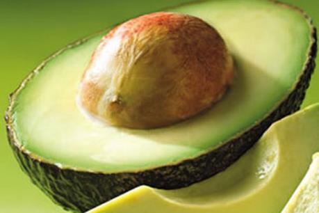 Mexico phát minh nhựa sinh học từ hạt quả bơ