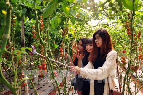 Lâm Đồng giám sát việc chấp hành quy định trong kinh doanh du lịch