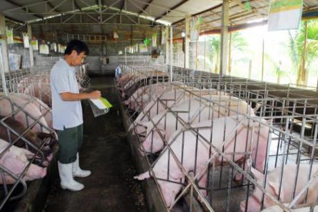 Đồng Nai cơ cấu lại khoản nợ gần 28 tỷ đồng cho ngành chăn nuôi lợn