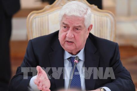 Syria ủng hộ sáng kiến của Nga thành lập các vùng giảm căng thẳng