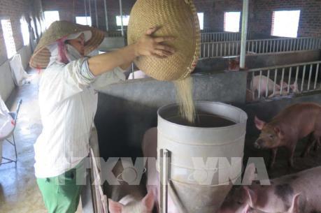 Người chăn nuôi "tránh tự trói chân" mình để mở rộng thị trường