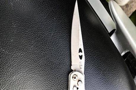 Đồng Nai: Khởi tố, bắt tạm giam tài xế taxi đâm cảnh sát bị thương