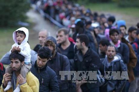 Đánh giá về tình hình di cư tại Đức 