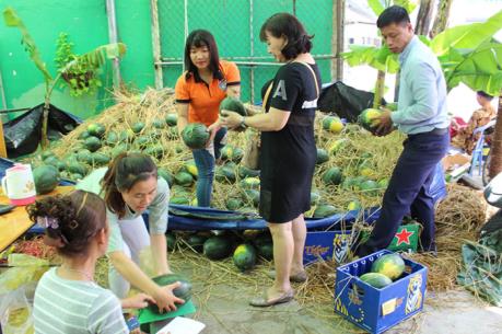 Tìm đầu ra cho nông sản: Giải bài toán thị trường