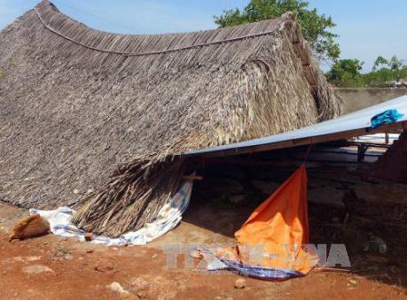 Bình Phước thiệt hại nặng nề do mưa và lốc xoáy