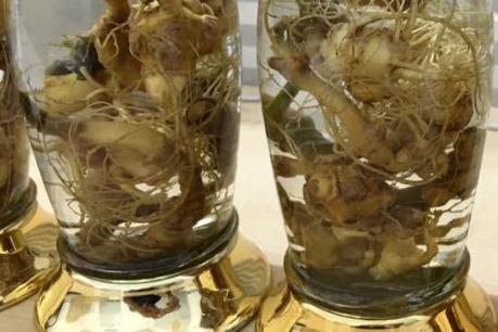 Kon Tum phạt hành chính cơ sở kinh doanh rượu sâm Ngọc Linh không phép