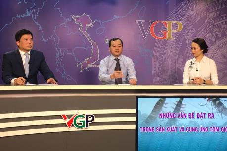 Yếu tố quyết định cho phát triển ngành tôm