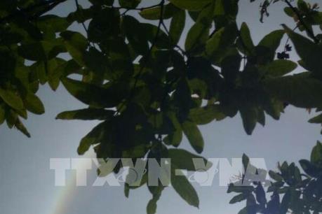 Xuất hiện quầng mặt trời lạ ở Thừa Thiên - Huế