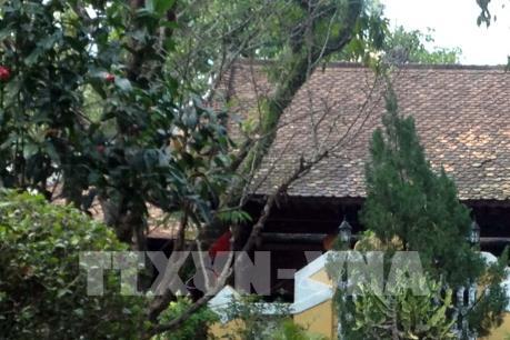 Nét đẹp nhà vườn nơi cố đô Huế