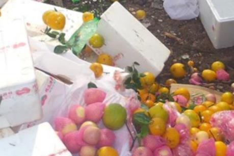 Bình Phước tiêu hủy gần một tấn trái cây nhập lậu