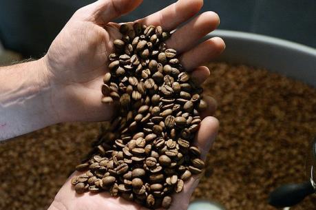 Dự báo giá cà phê tuần từ 8/5 - 13/5