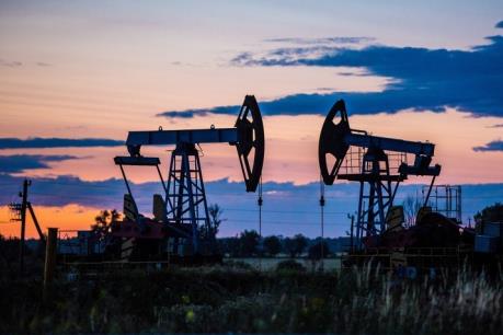 Nga tăng lượng dầu Urals xuất khẩu sang Ấn Độ