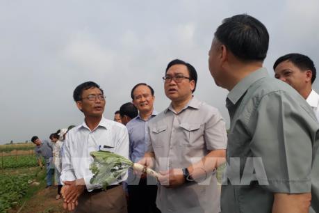 Bí thư Thành ủy Hà Nội: Huyện Mê Linh cần tận dụng lợi thế để chủ động trong phát triển