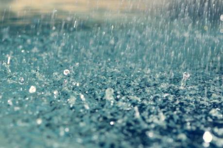 Cơn mưa vàng giúp cải thiện nguồn nước tưới