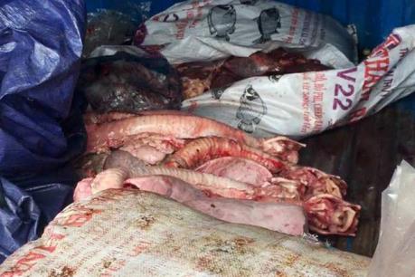 Thanh Hoá: Bắt giữ xe ô tô chở nội tạng động vật bốc mùi hôi thối