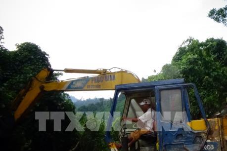 Quảng Nam tăng cường quản lý rừng ở khu vực giáp ranh