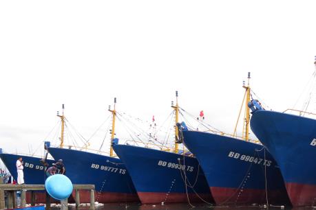 Bình Định sẽ lập tổ công tác để kiểm tra sự cố của tàu vỏ thép