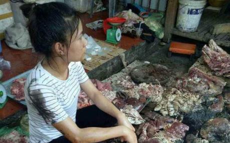 Vụ hất chất bẩn vào quầy thịt lợn: Khởi tố vụ án hình sự về hành vi hủy hoại tài sản