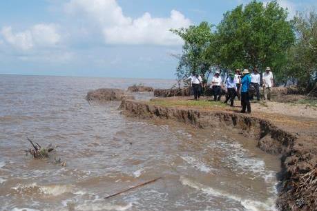 Mỗi năm, Cà Mau mất khoảng 450 ha đất ven biển