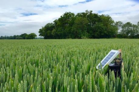 Nông nghiệp thông minh – xu hướng mới tại châu Á