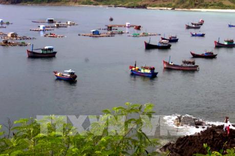 Tái diễn tình trạng nuôi tôm hùm trái phép quanh thắng cảnh quốc gia gành Đá Đĩa