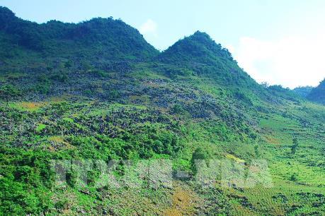 Động đất tại khu vực giáp ranh huyện Tủa Chùa (Điện Biên) và Quỳnh Nhai (tỉnh Sơn La)
