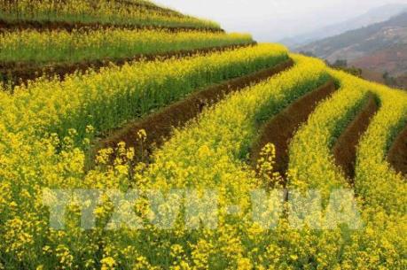 Những điểm du lịch nổi tiếng Yên Bái