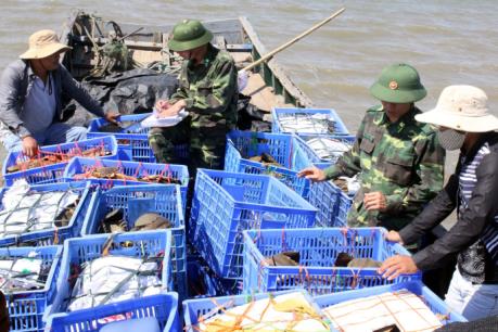 Xảy ra các vụ việc mất an toàn thực phẩm tại Quảng Ninh và Tuyên Quang