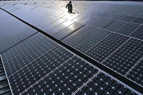 Ấn Độ - Thị trường năng lượng tái tạo hấp dẫn thứ hai thế giới