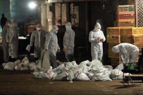 Trung Quốc ghi nhận ca nhiễm virus H7N9 đầu tiên trong năm nay