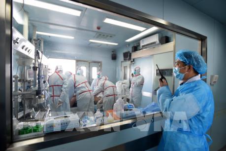 Ca nhiễm cúm gia cầm H7N9 đầu tiên tại tỉnh Sơn Tây