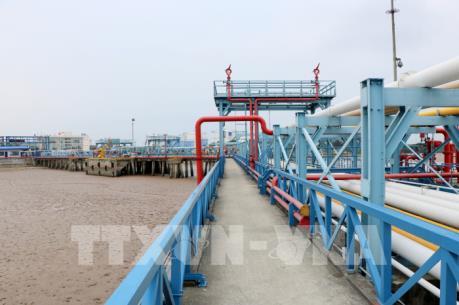 Lãnh đạo Chính phủ chỉ đạo xem xét điều chỉnh mức phí cảng biển Hải Phòng