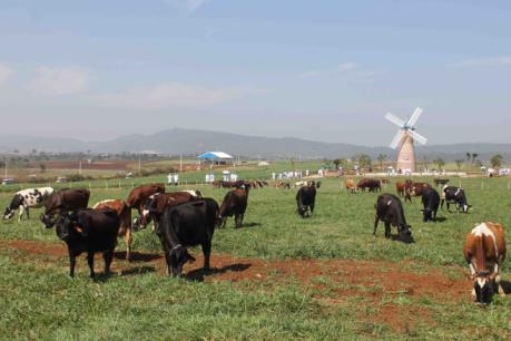 Sức hút thực phẩm Organnic - Bài 1: Nhà bán lẻ "thử sức" với ngành hàng hữu cơ