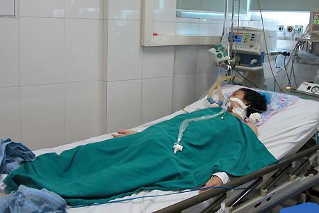 Kon Tum: Phát hiện trường hợp viêm não Nhật Bản