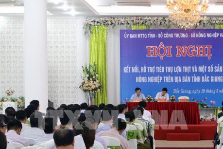 Tìm giải pháp hỗ trợ tiêu thụ lợn thịt cho người chăn nuôi Bắc Giang