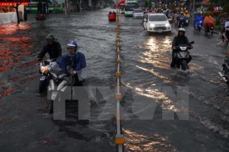 Dự báo thời tiết TP Hồ Chí Minh hôm nay và 7 ngày tới