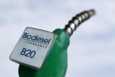 Giới đầu tư chỉ trích chính sách của EU về nhiên liệu sinh học