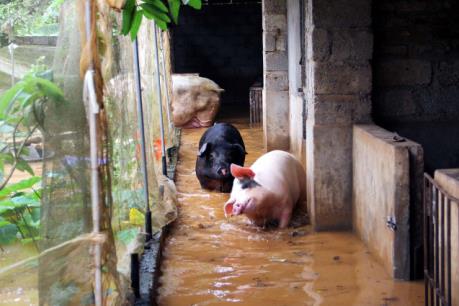 Mưa lớn khiến bùn đất tràn vào nhà dân tại Thái Nguyên