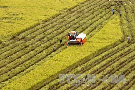  Tích tụ đất đai phải gắn với phát triển kinh tế nông thôn