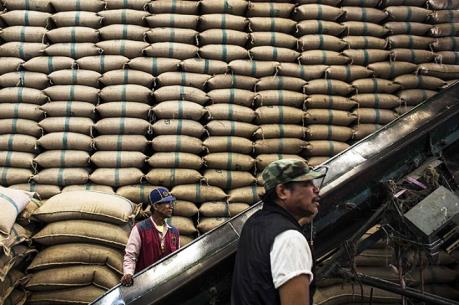 Thái Lan tiếp tục đấu thầu bán gạo dự trữ