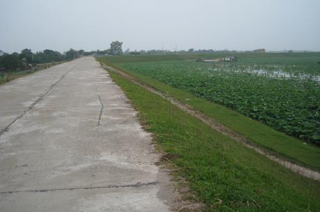 Hà Nam đảm bảo an toàn hệ thống đê bối trong mùa mưa bão