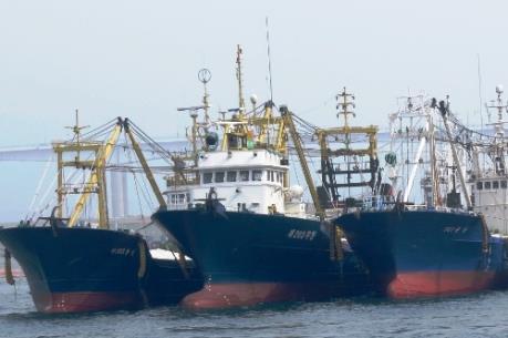 Thủ tướng chỉ đạo xử lý nghiêm sai phạm trong đóng tàu cá theo Nghị định 67