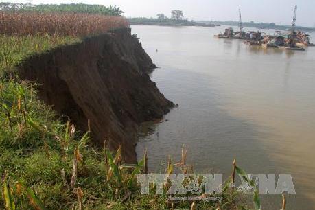 Sạt lở nghiêm trọng bờ sông Thao