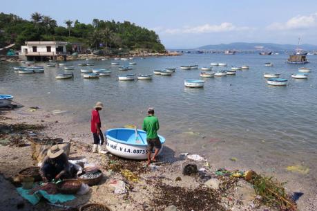 Phú Yên: Tìm nguyên nhân nhiều loài thủy sản tự nhiên trong vịnh Xuân Đài bị chết