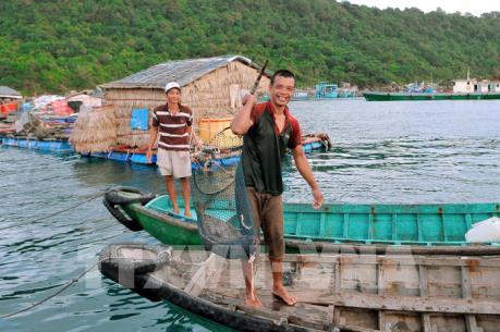 Khai thác thủy sản thành ngành kinh tế chủ lực của tỉnh Kiên Giang