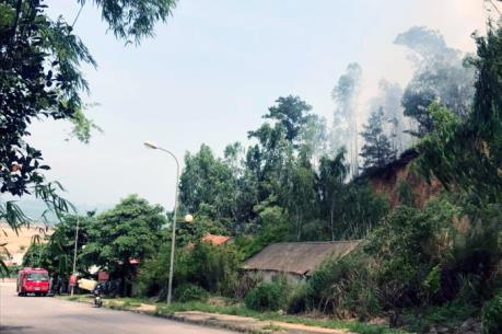 Cháy rừng ở Bãi Cháy, Quảng Ninh