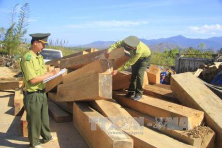Ngành gỗ Việt Nam nói không với gỗ bất hợp pháp