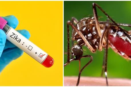 Phát hiện trường hợp nhiễm Zika đầu tiên tại Ấn Độ