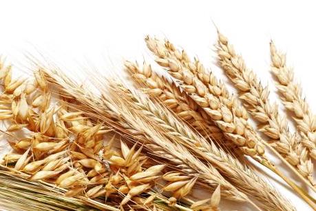 Điểm lại thị trường nông sản Mỹ tuần qua